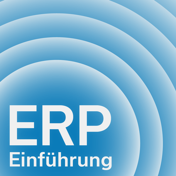 ERP-Einführung - Ablauf und Methoden